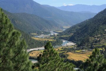 Blick aufs Punakha Valley