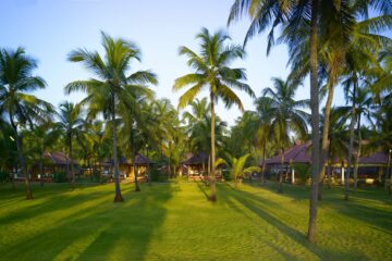 Garten des Nattika Beach Resorts in Indien