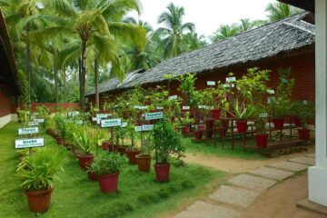 Kräutergarten im Nattika Beach in Kerala