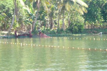 Kultur pur in der Metropolregion Kochi (Kerala)