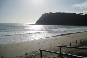 Northland – Rundreise zu den spirituellen Wurzeln der Maori