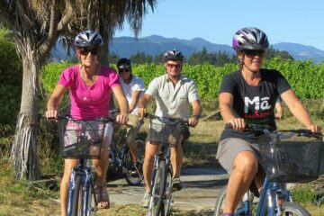 Mit dem Rad durchs Weinanbaugebiet Marlborough