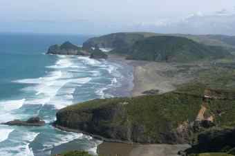 Bethells Beach Cottages - Entspannung pur