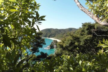 Blick über einen weißen Strand im Abel Tasman Nationalpark