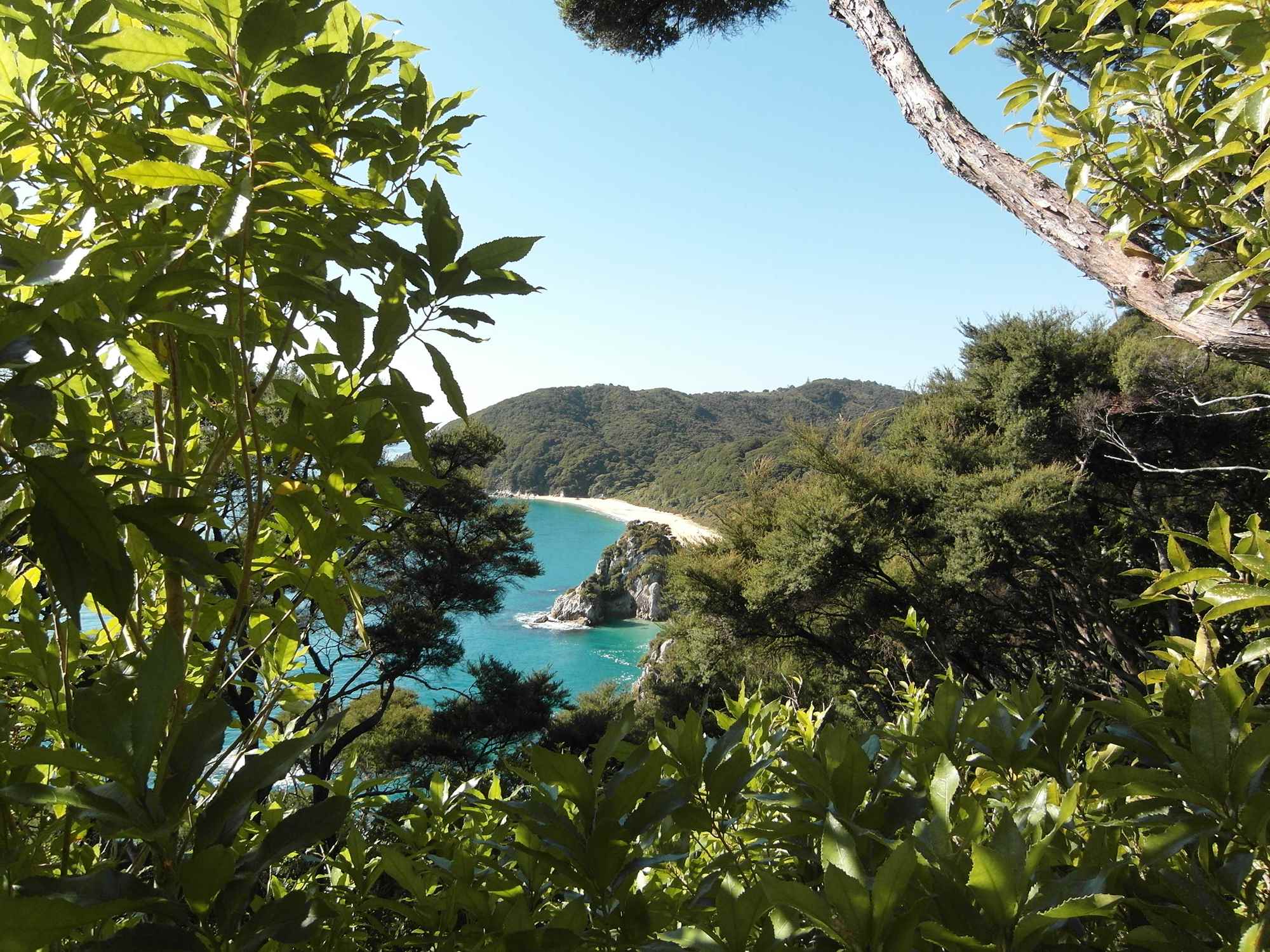 Blick über einen weißen Strand im Abel Tasman Nationalpark