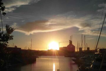 Sonnenuntergang in Aucklands Hafen