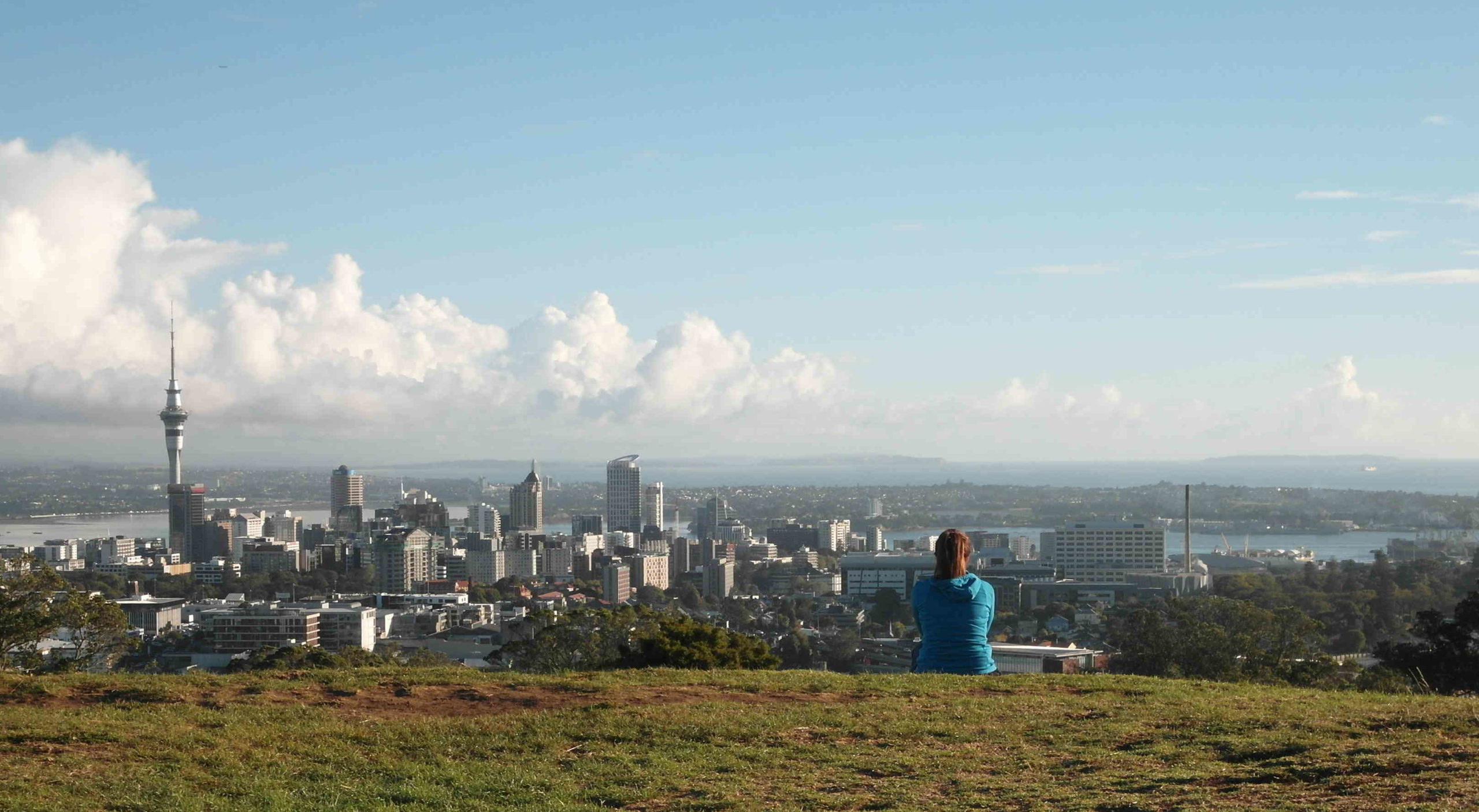 Blick über Auckland vom Mt. Eden