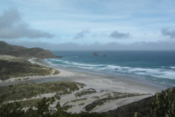 Sandfly Bay auf der Halbinsel Otago