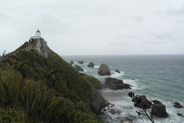 Catlins