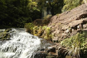 Wasserfall in den Catlins