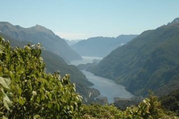 Blick auf den Doubtful Sound