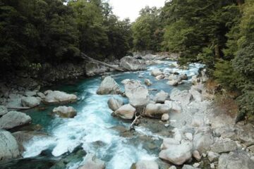 Bach im Fiordland Nationalpark