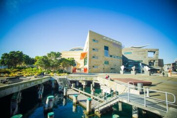 Stadtführung und „Te Papa Taonga Maori“ Halbtagstour Wellington