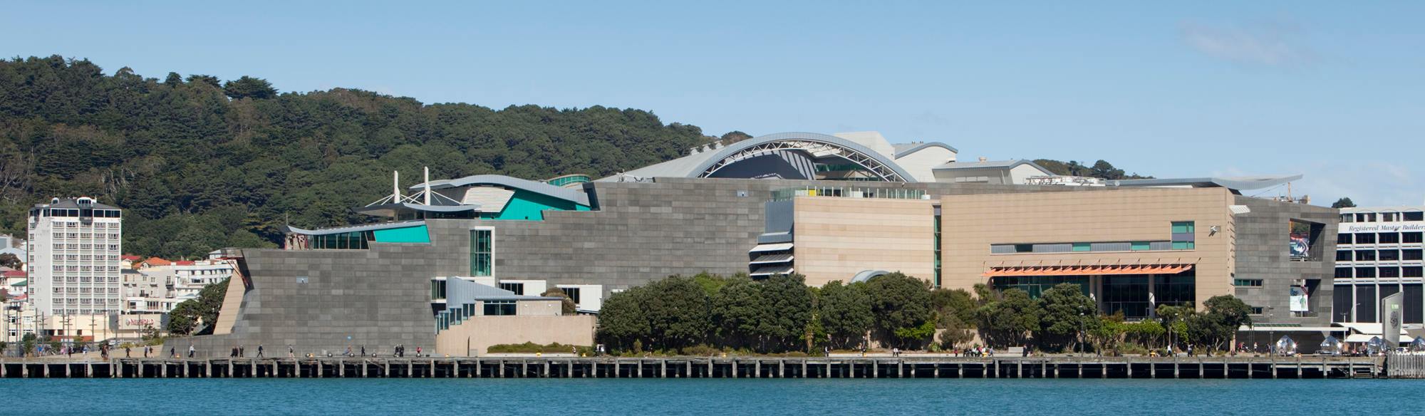 Stadtführung und „Te Papa Taonga Maori“ Halbtagstour Wellington