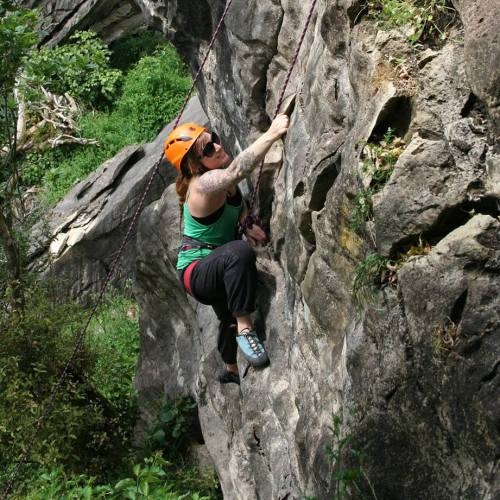 Solscape: Auszeit im Tipi, Zugwaggon oder im ökologischen Studio in Raglan, Neuseeland