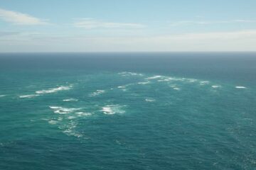 Aufregende Strandtour zum Cape ReingaAufregende Strandtour zum Cape ReingaAufregende Strandtour zum Cape Reinga
