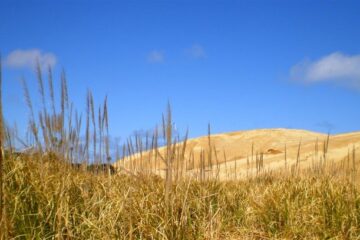 Aufregende Strandtour zum Cape Reinga