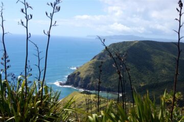 Aufregende Strandtour zum Cape Reinga