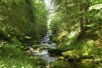 Wainando - Meditation und Sinnreisen - Deutschland