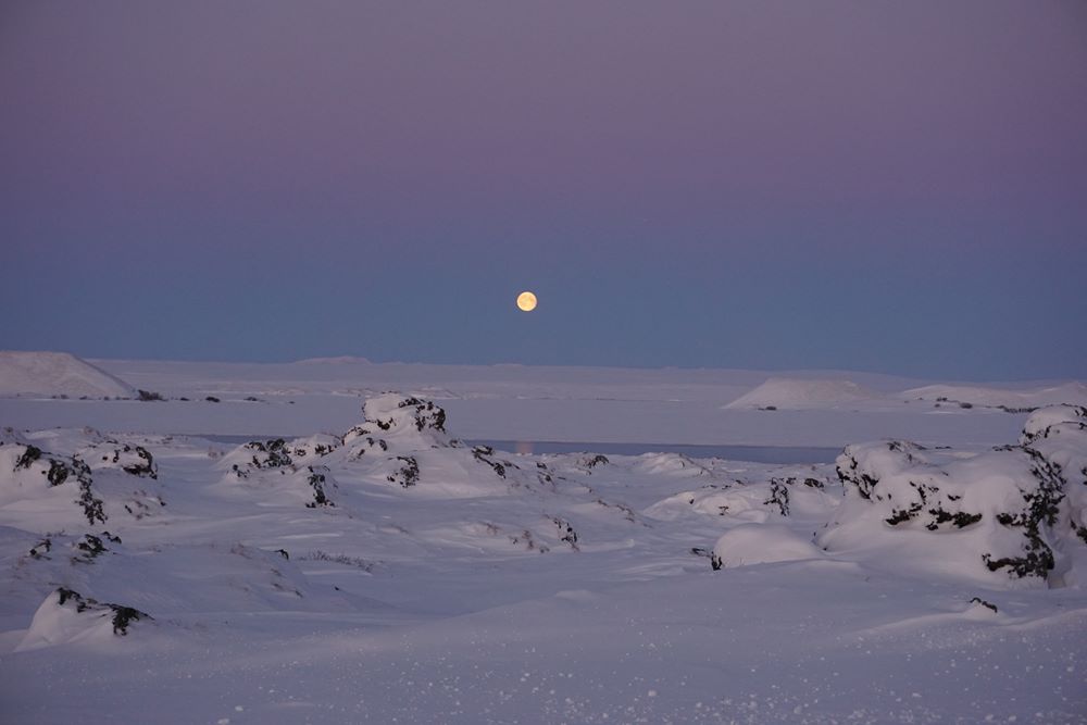 Schneeschuhwandern am See Myvatn