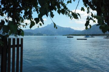 Blick auf den Mondsee