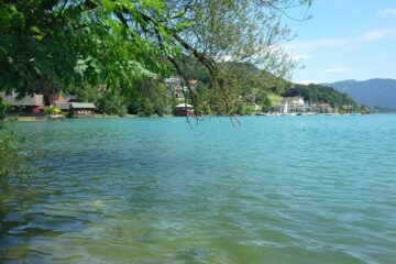 Blick auf den Mondsee