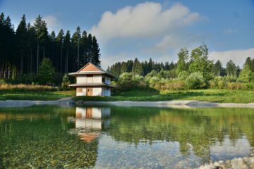 Zen für Anfänger: Schnupperkurs im schönen Allgäu