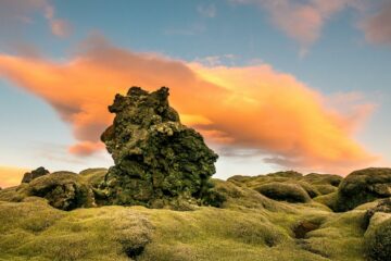 Aktivurlaub Island: Yoga und Wandern in der Natur