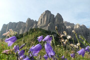 Blick auf die Dolomiten