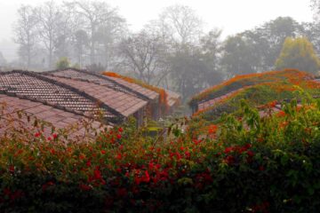 Blick über die begrünten und blühenden Dächer des wami Rama Sadhaka Grana Ashram