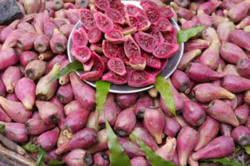 Rote exotische Frucht halbiert