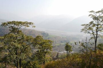 Blick auf Hügel und Reisfelder im Nebel