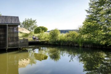 Haus mit Steg am grünen Teich