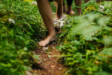 Natur für alle Sinne: Stille Wanderungen & Naturerlebnisse in Tirol