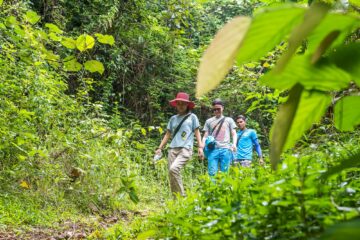 Drei Personen wandern Weg entlang