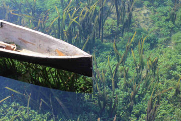 Schöne Urlaubsziele in Indonesien entdecken. ► Erholsame Ferien, Sinnreisen, Meditation, Yoga & Wandern ► Jetzt bei Wainando buchen!