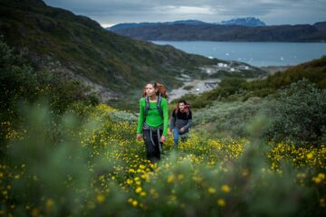 Zwei Wanderer laufen hügelaufwärts vom Fjord durch gelbe Wiesen