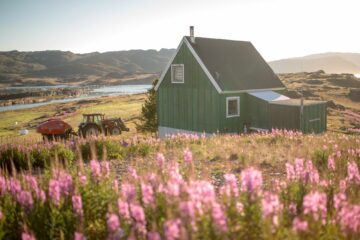 Grünes Holzhaus inmitten von pinken Blumen und Traktor vor dem Haus