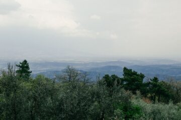 Blick auf das neblige Tal