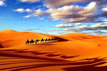 Karawane in der Sahara