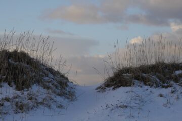 Umgebung von Reykjavik