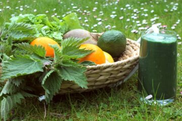 Früchte und Smoothie