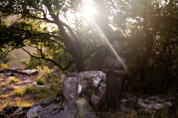 Sonnenstrahl bricht durch Äste und scheint auf Buddha-Statue