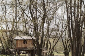 Holzhaus mitten in den Bäumen am Fluss