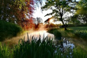 Morgenstimmung über Wasser mit Dampf