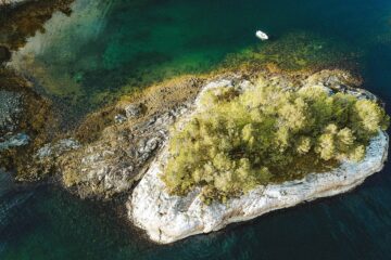 Bewachsener Stein im Fjord aus Vogelperspektive