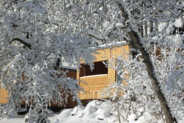 Haus inmitten beschneiter Bäume