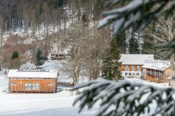 Häuser im Schnee