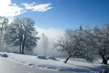 Eisbäume und Schneehauben