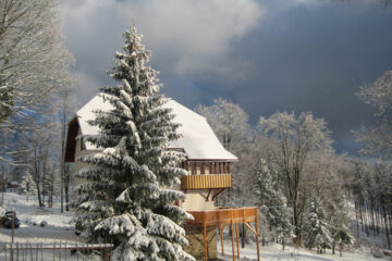 Haus und Bäume unter Schnee